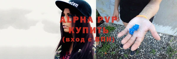 гашик Алексеевка