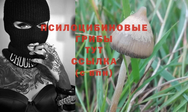 Альфа ПВП Абинск