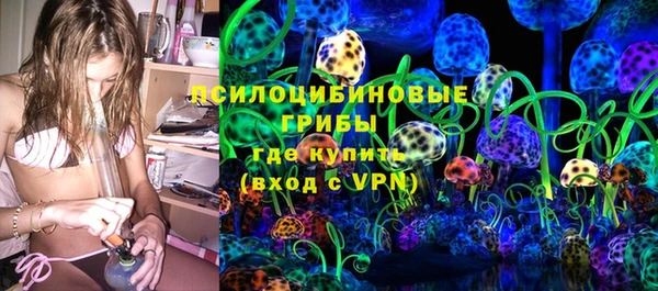 гашик Алексеевка