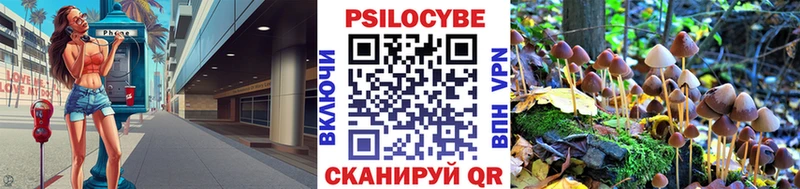 Галлюциногенные грибы Cubensis  Елизово 