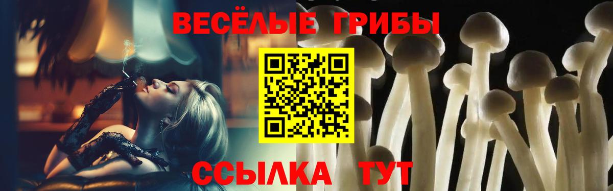 Галлюциногенные грибы Psilocybine cubensis Елизово